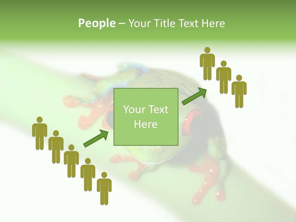 Isolated On White Looking Close Up PowerPoint Template