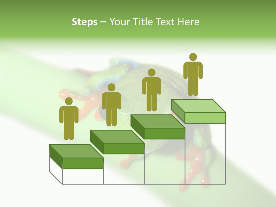 Isolated On White Looking Close Up PowerPoint Template