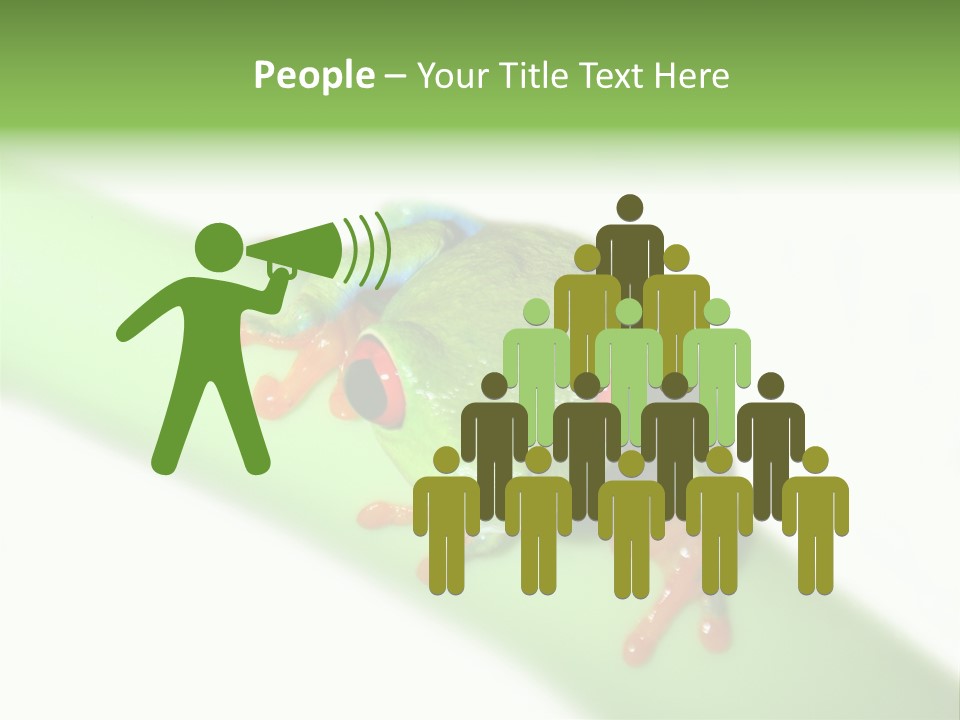 Isolated On White Looking Close Up PowerPoint Template