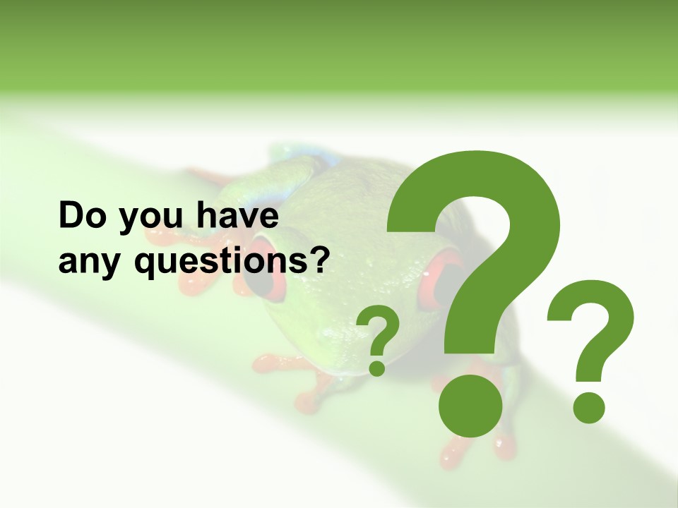 Isolated On White Looking Close Up PowerPoint Template