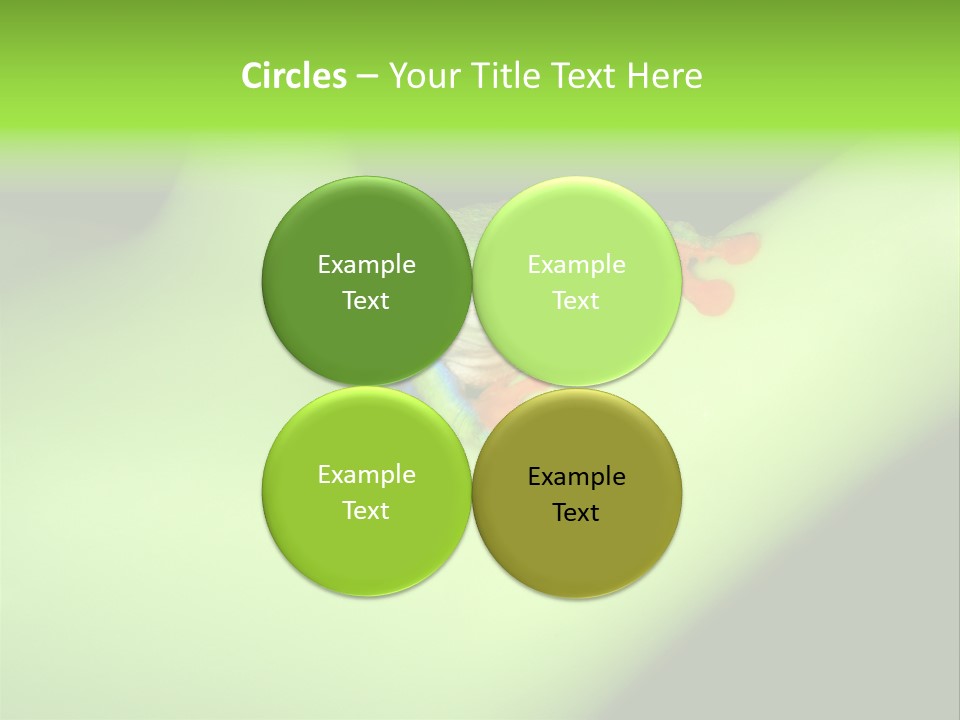 Animal Curiosity Watching PowerPoint Template