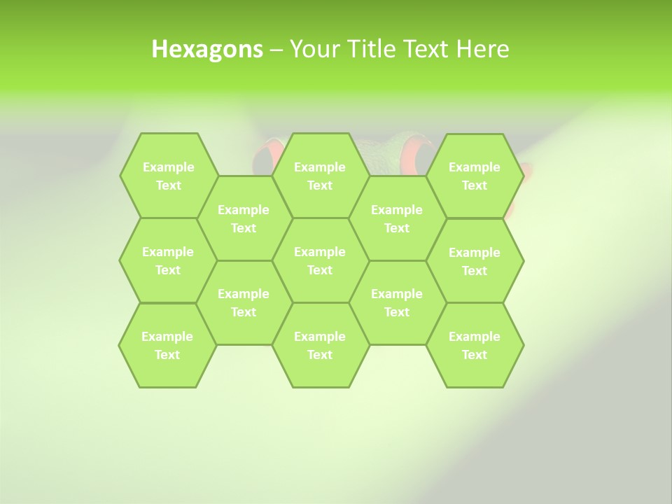 Animal Curiosity Watching PowerPoint Template