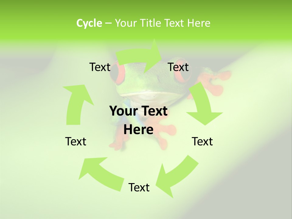 Animal Curiosity Watching PowerPoint Template