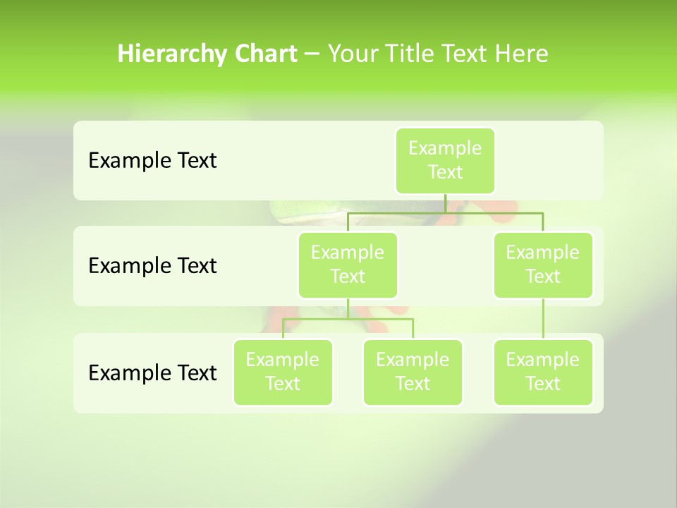 Animal Curiosity Watching PowerPoint Template