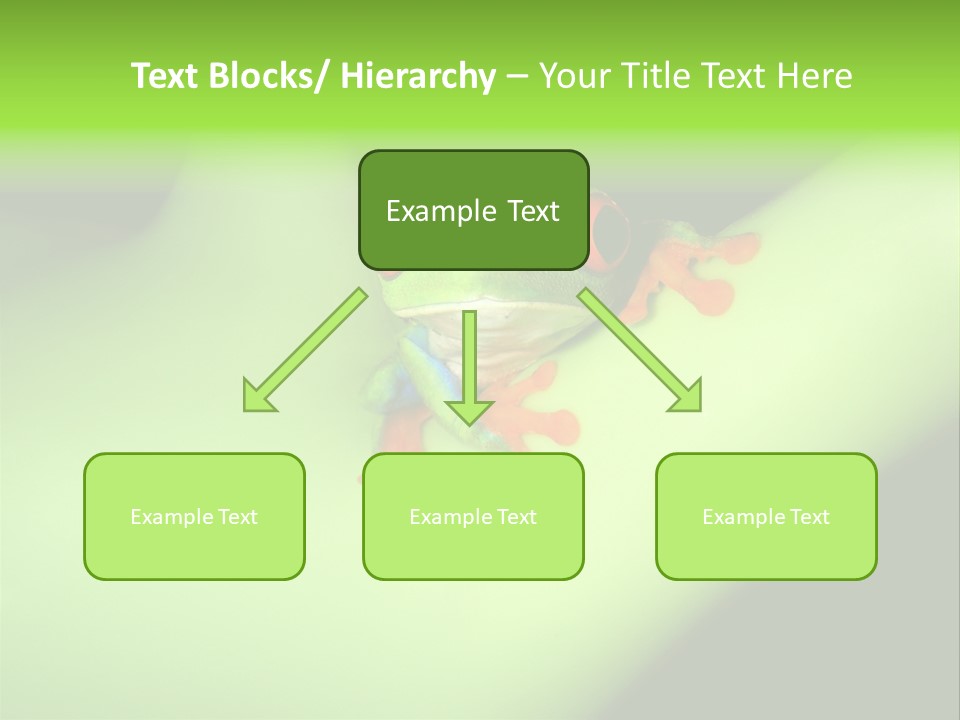 Animal Curiosity Watching PowerPoint Template
