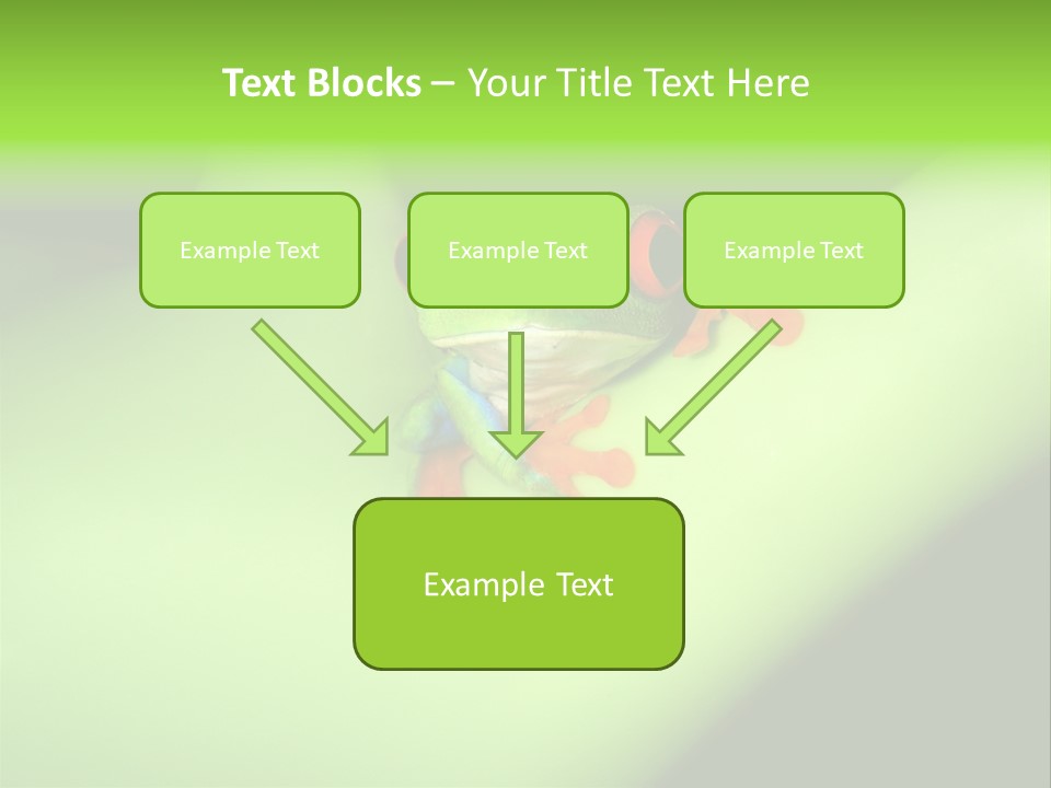 Animal Curiosity Watching PowerPoint Template