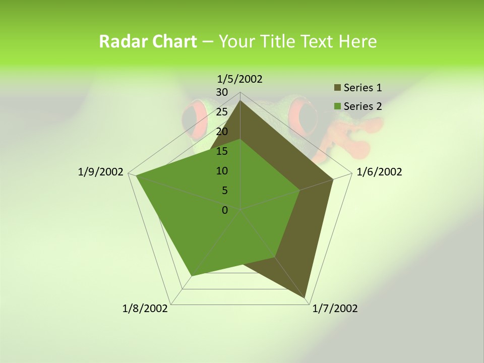 Animal Curiosity Watching PowerPoint Template