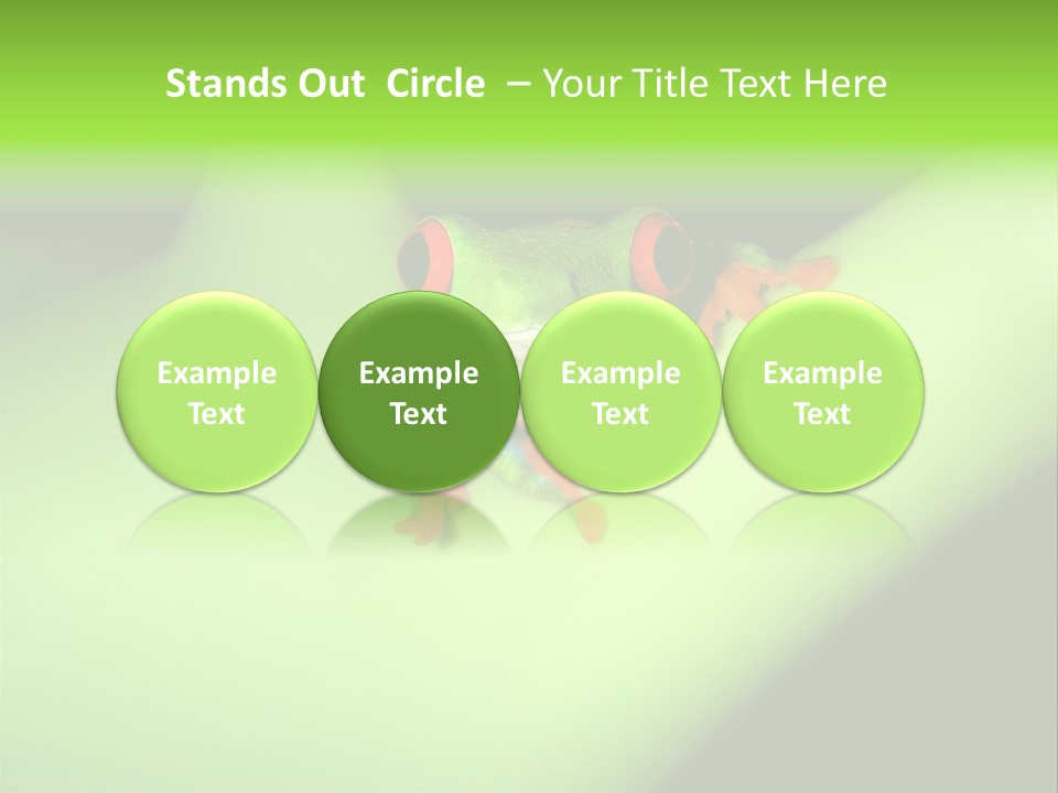 Animal Curiosity Watching PowerPoint Template