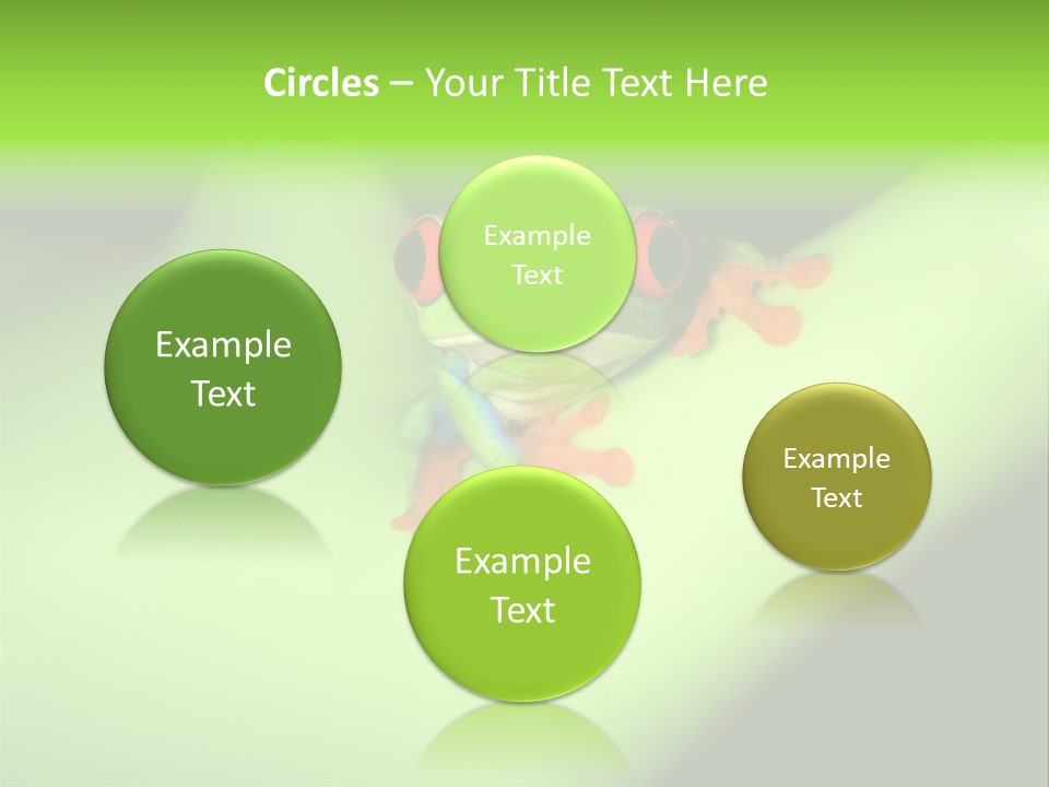 Animal Curiosity Watching PowerPoint Template