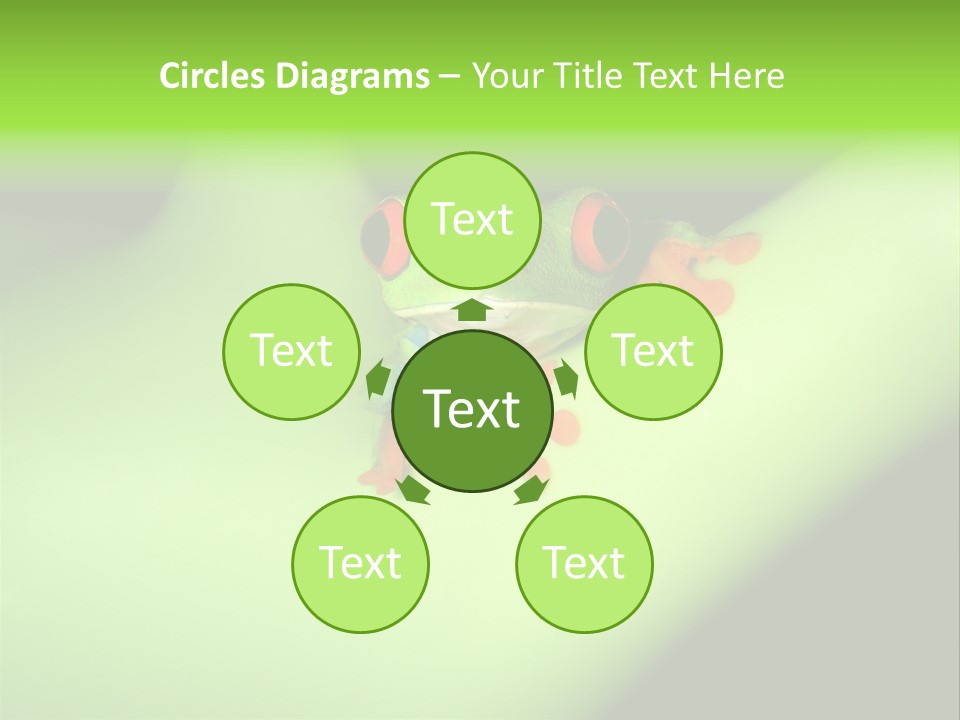 Animal Curiosity Watching PowerPoint Template