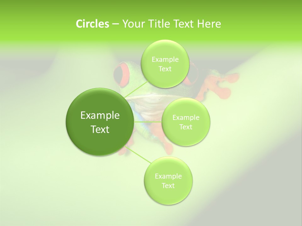 Animal Curiosity Watching PowerPoint Template