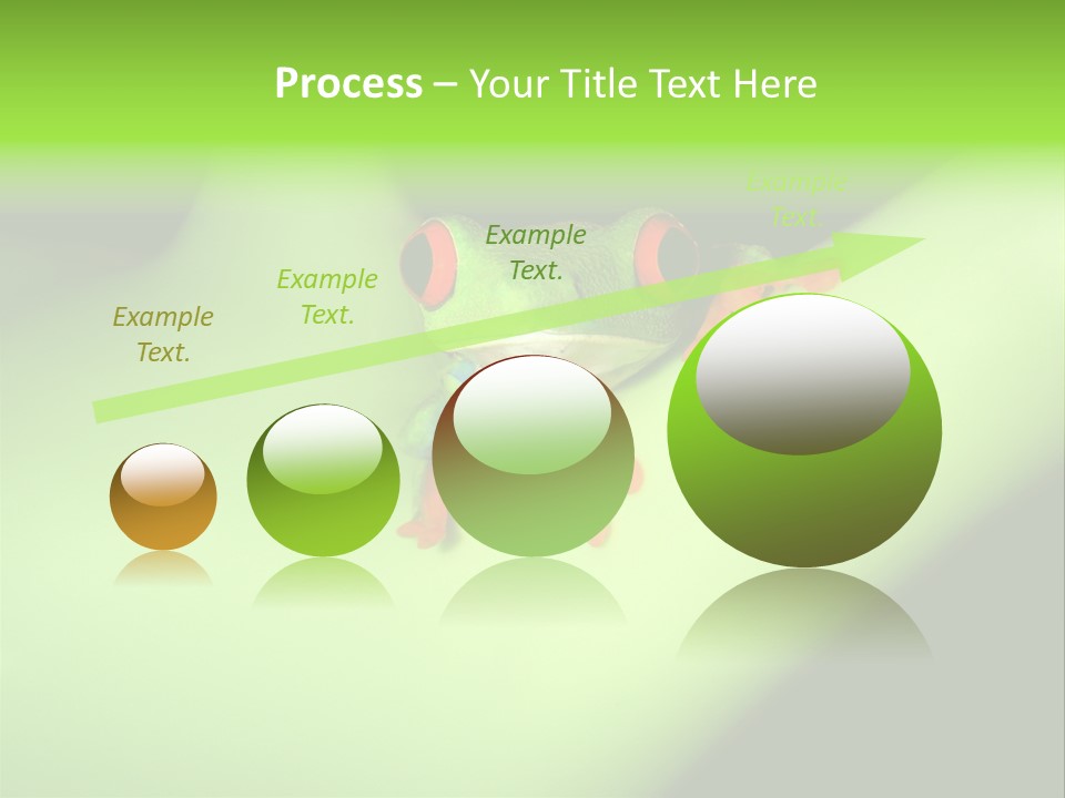 Animal Curiosity Watching PowerPoint Template