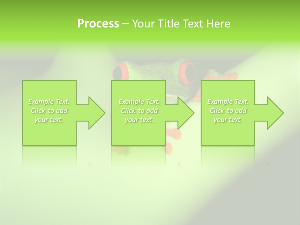 Animal Curiosity Watching PowerPoint Template
