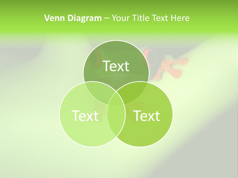 Animal Curiosity Watching PowerPoint Template