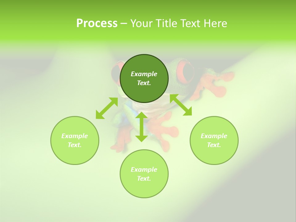 Animal Curiosity Watching PowerPoint Template