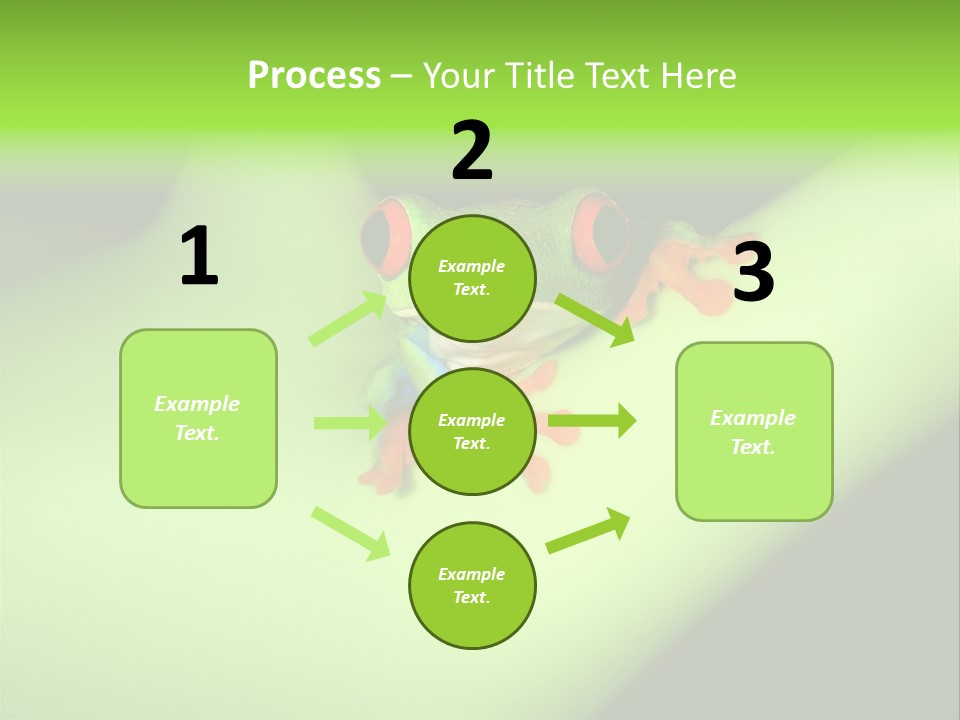 Animal Curiosity Watching PowerPoint Template