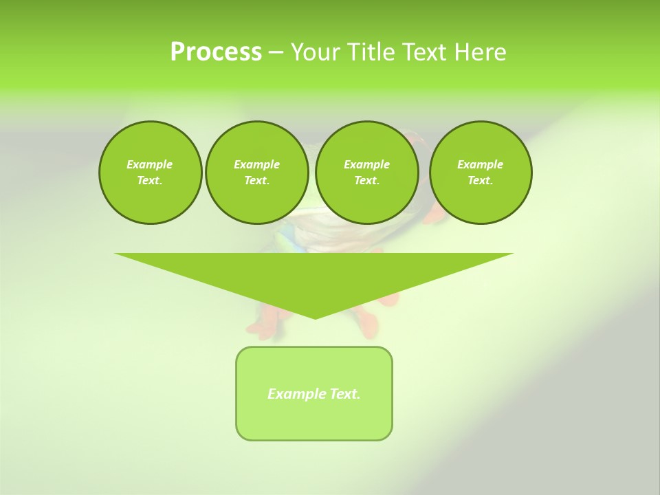 Animal Curiosity Watching PowerPoint Template