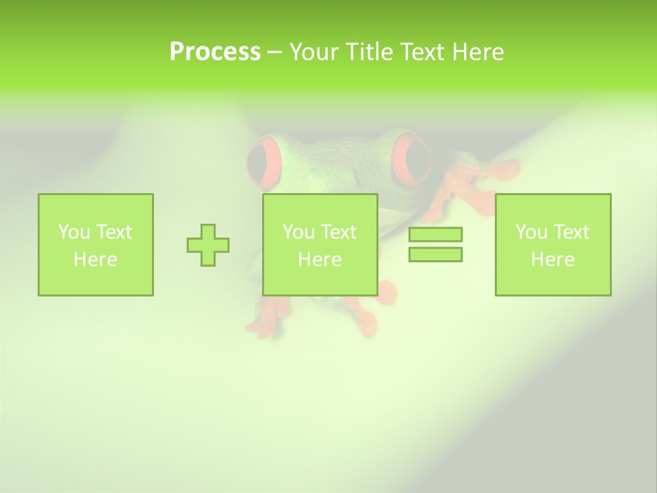 Animal Curiosity Watching PowerPoint Template