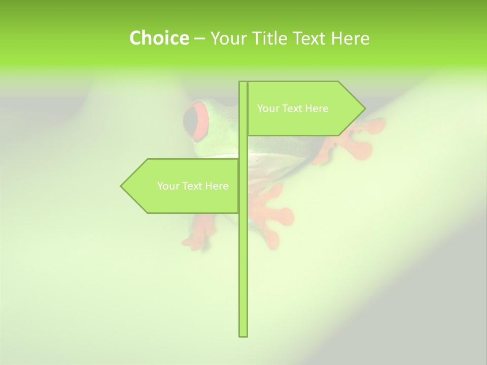Animal Curiosity Watching PowerPoint Template