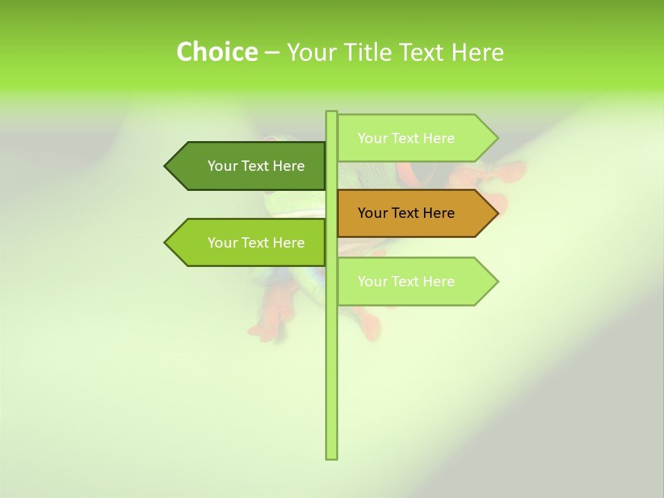 Animal Curiosity Watching PowerPoint Template