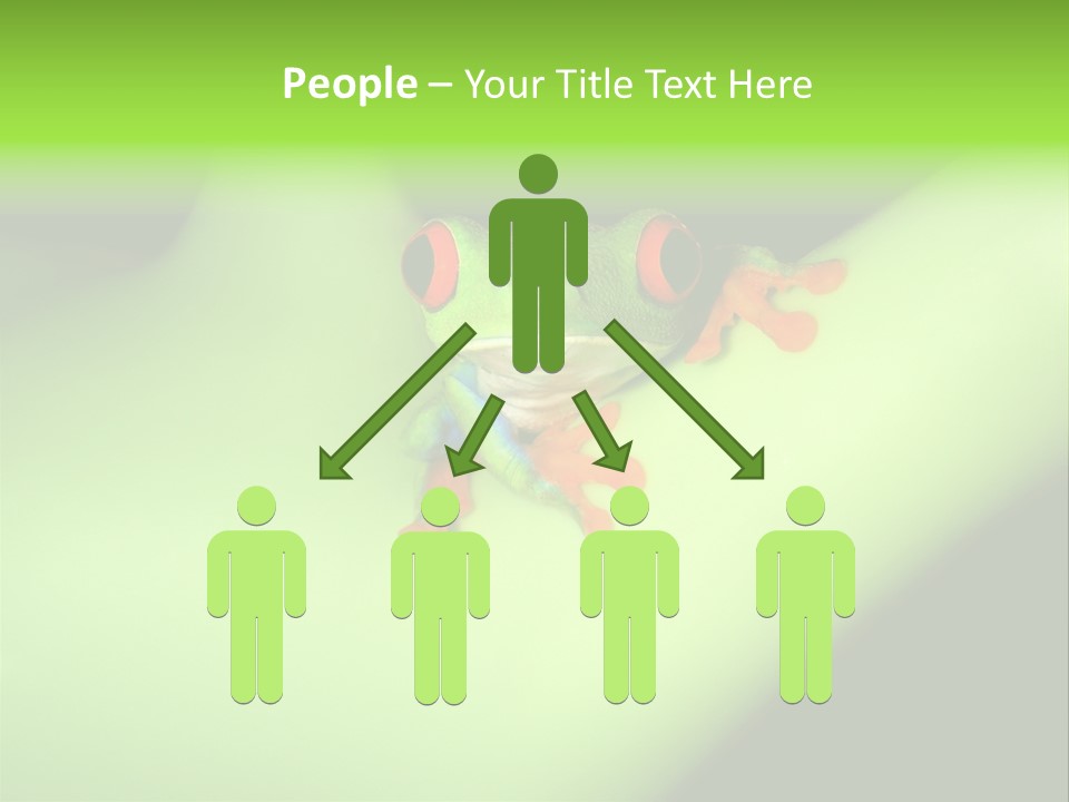 Animal Curiosity Watching PowerPoint Template