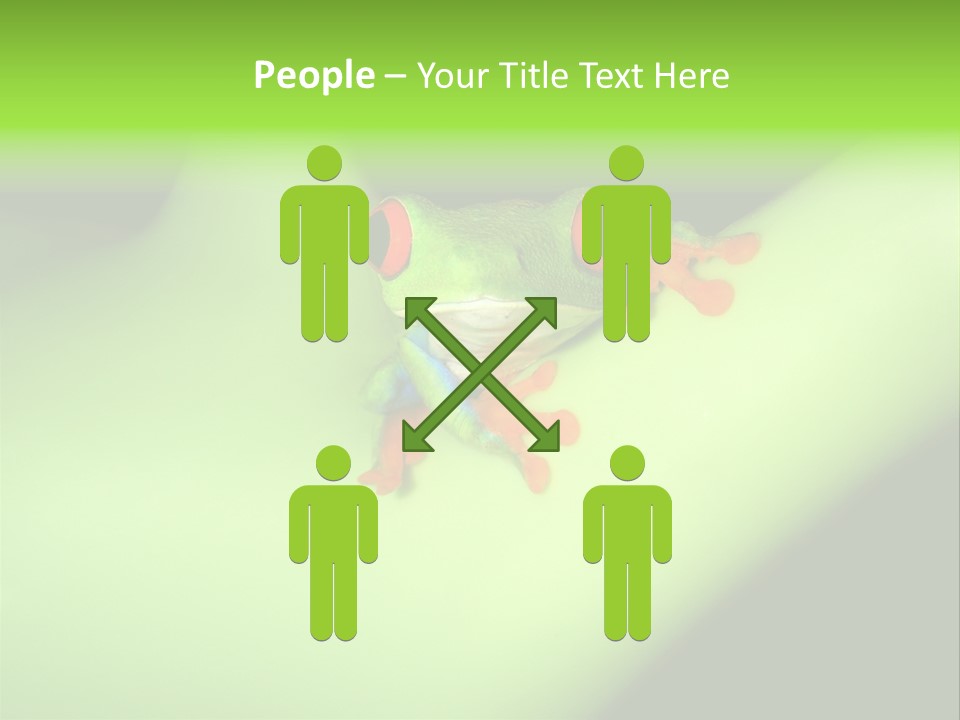 Animal Curiosity Watching PowerPoint Template