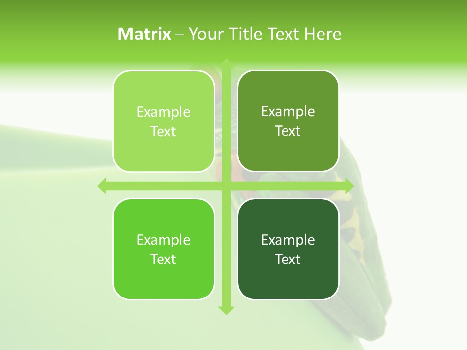 Isolated Animal Green PowerPoint Template