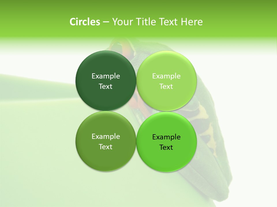 Isolated Animal Green PowerPoint Template