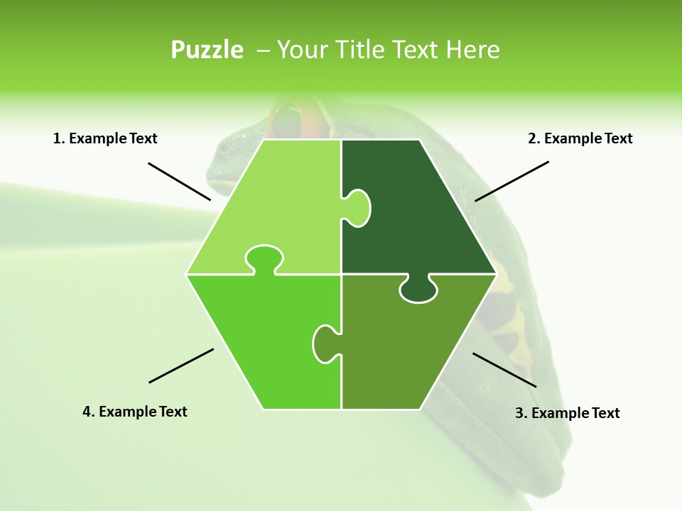 Isolated Animal Green PowerPoint Template