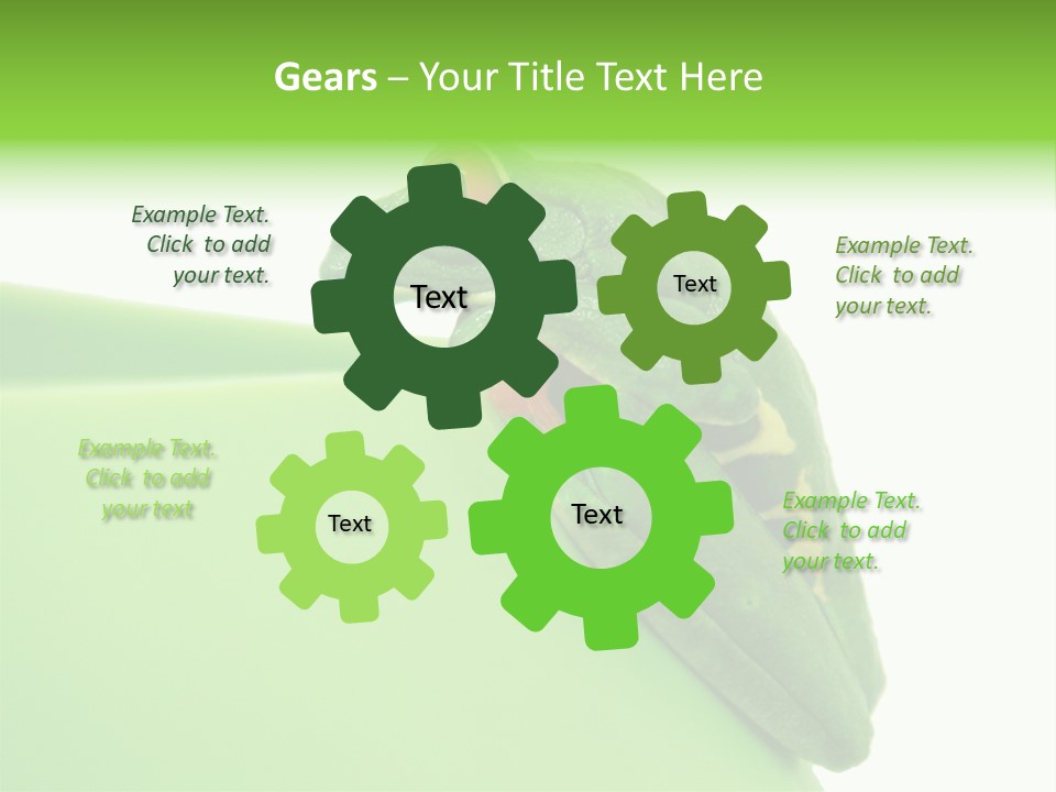 Isolated Animal Green PowerPoint Template