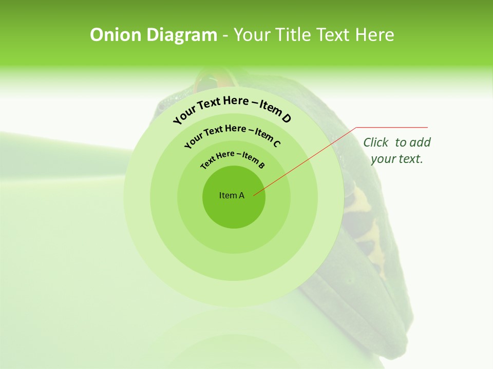 Isolated Animal Green PowerPoint Template