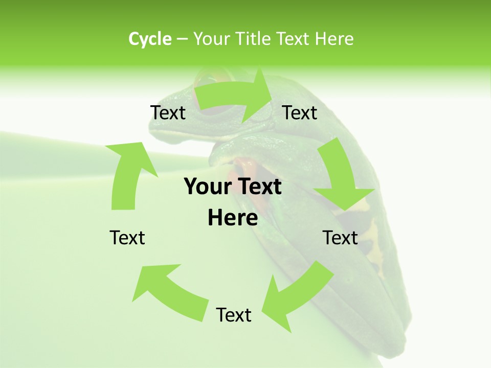 Isolated Animal Green PowerPoint Template