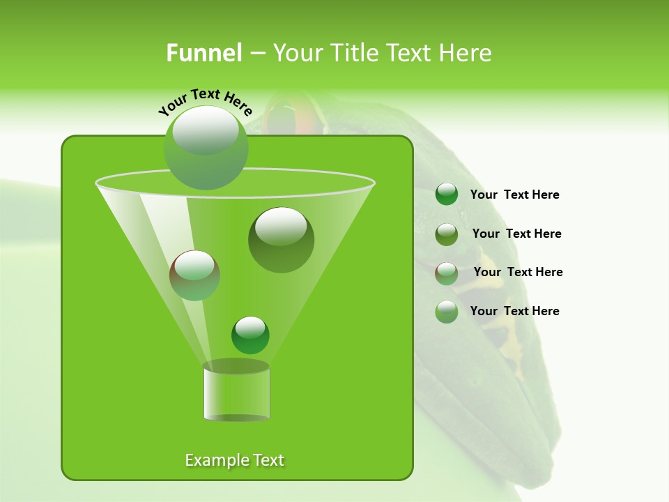 Isolated Animal Green PowerPoint Template