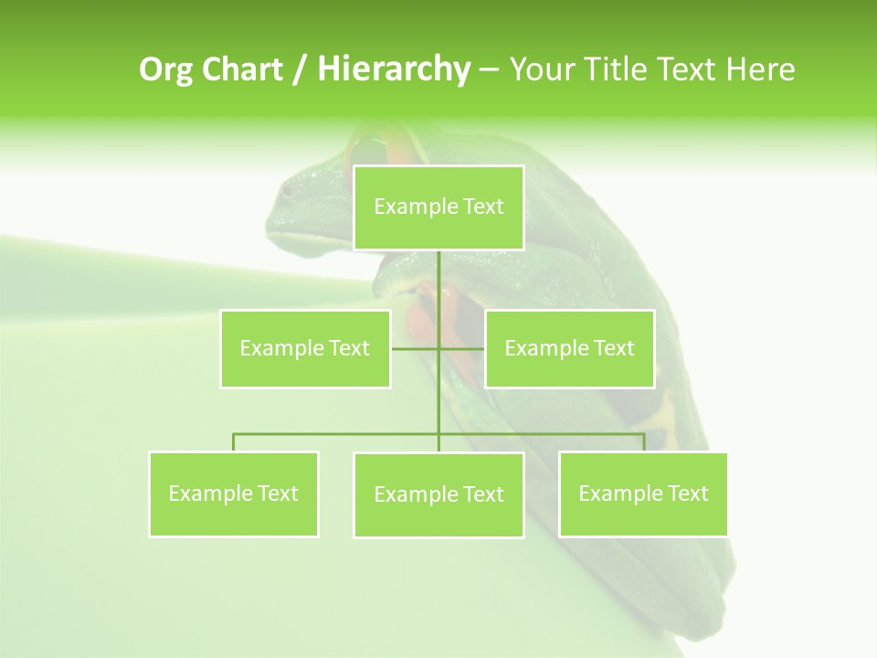 Isolated Animal Green PowerPoint Template