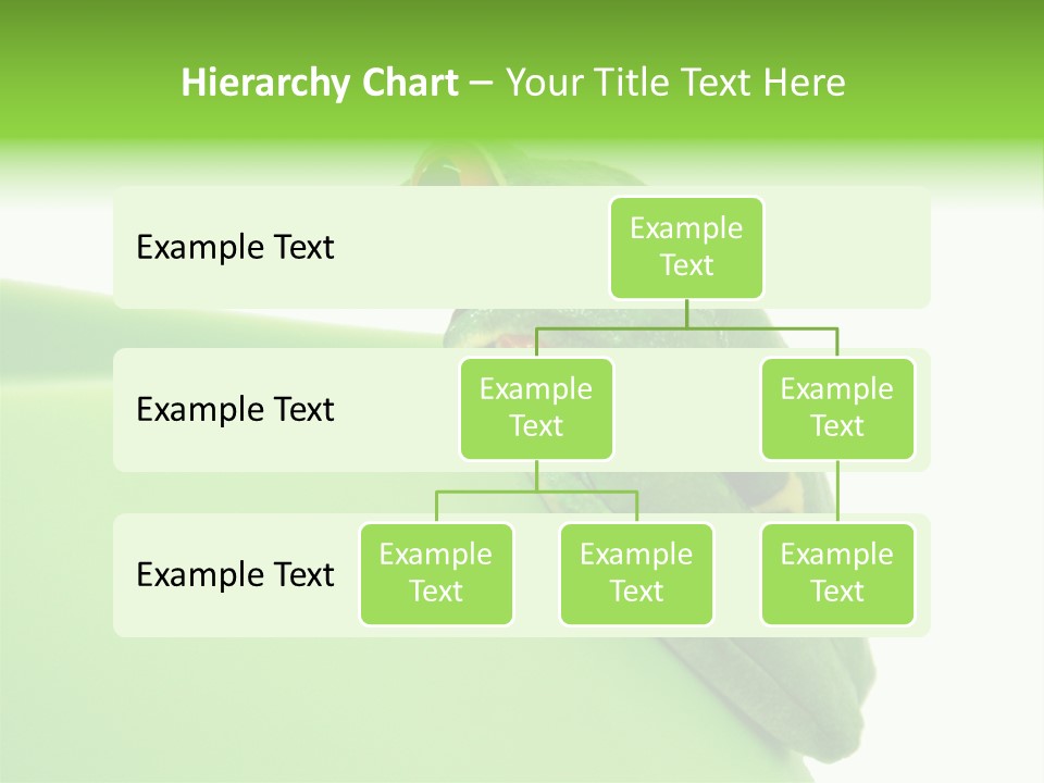 Isolated Animal Green PowerPoint Template