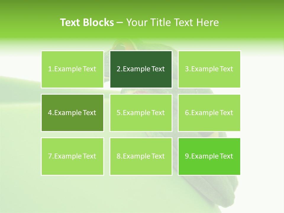 Isolated Animal Green PowerPoint Template