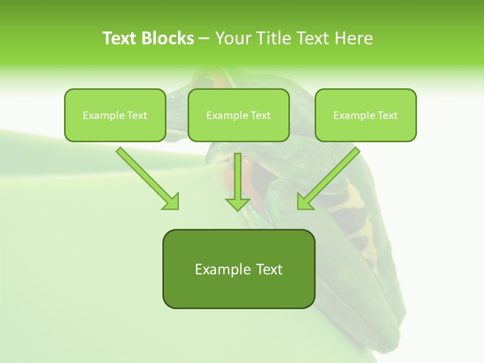 Isolated Animal Green PowerPoint Template