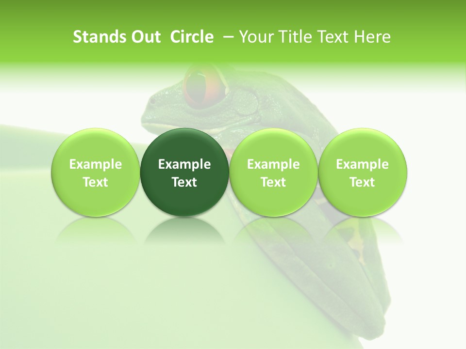 Isolated Animal Green PowerPoint Template
