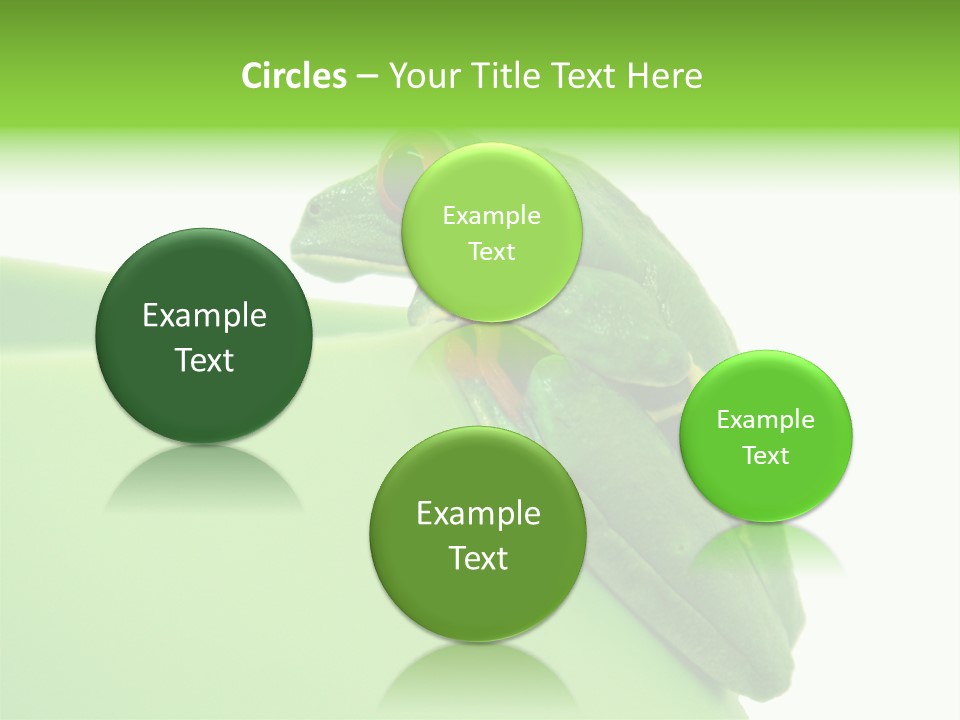Isolated Animal Green PowerPoint Template