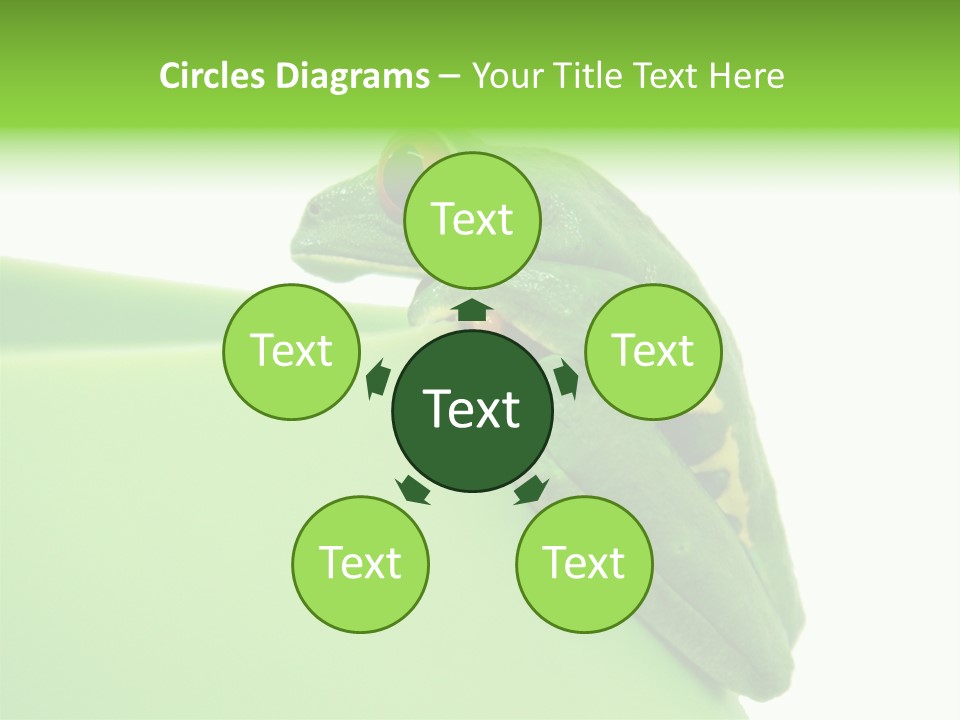 Isolated Animal Green PowerPoint Template