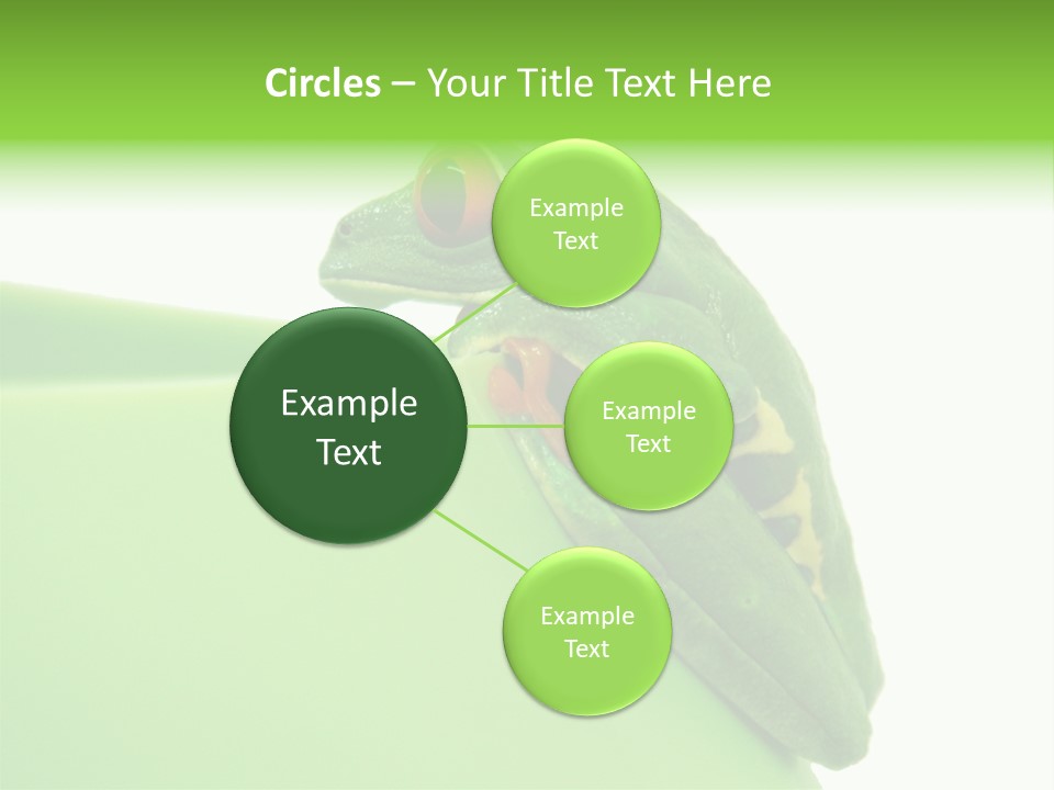 Isolated Animal Green PowerPoint Template