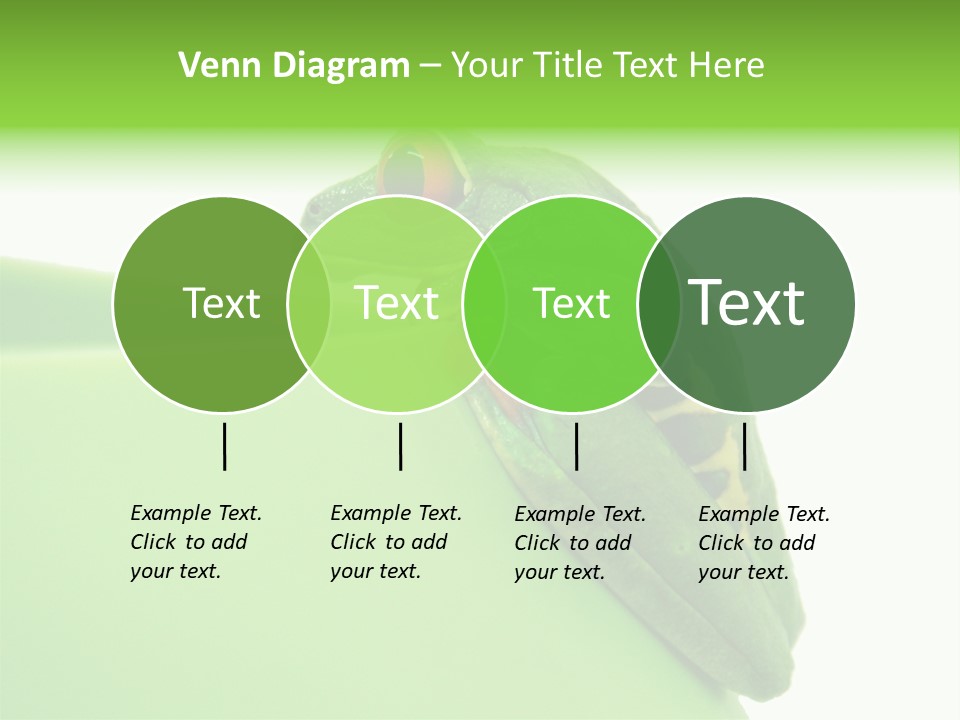 Isolated Animal Green PowerPoint Template