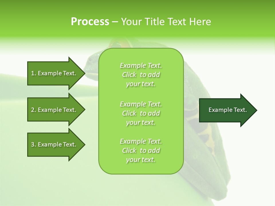 Isolated Animal Green PowerPoint Template