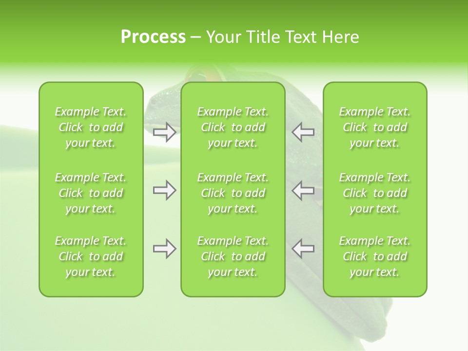 Isolated Animal Green PowerPoint Template