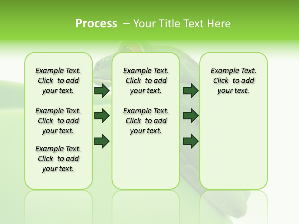 Isolated Animal Green PowerPoint Template