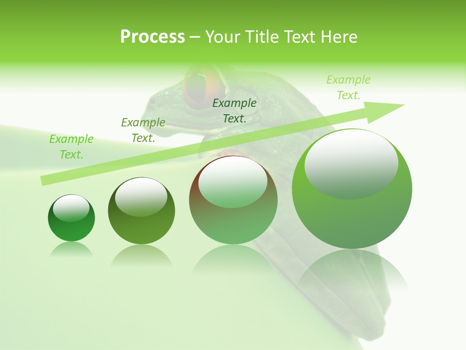 Isolated Animal Green PowerPoint Template
