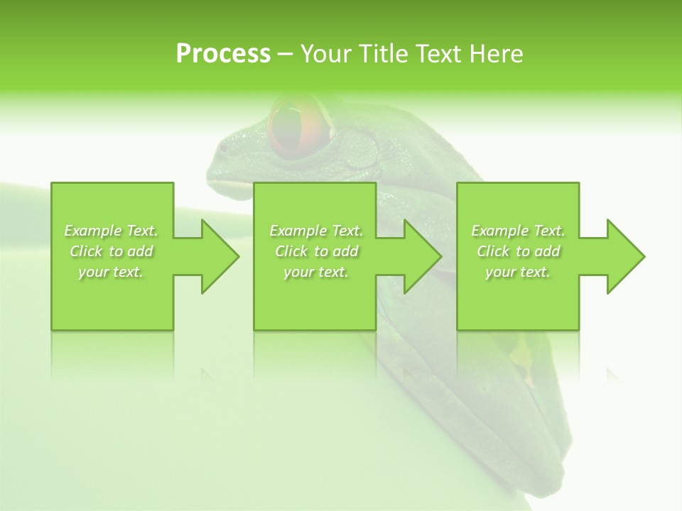 Isolated Animal Green PowerPoint Template