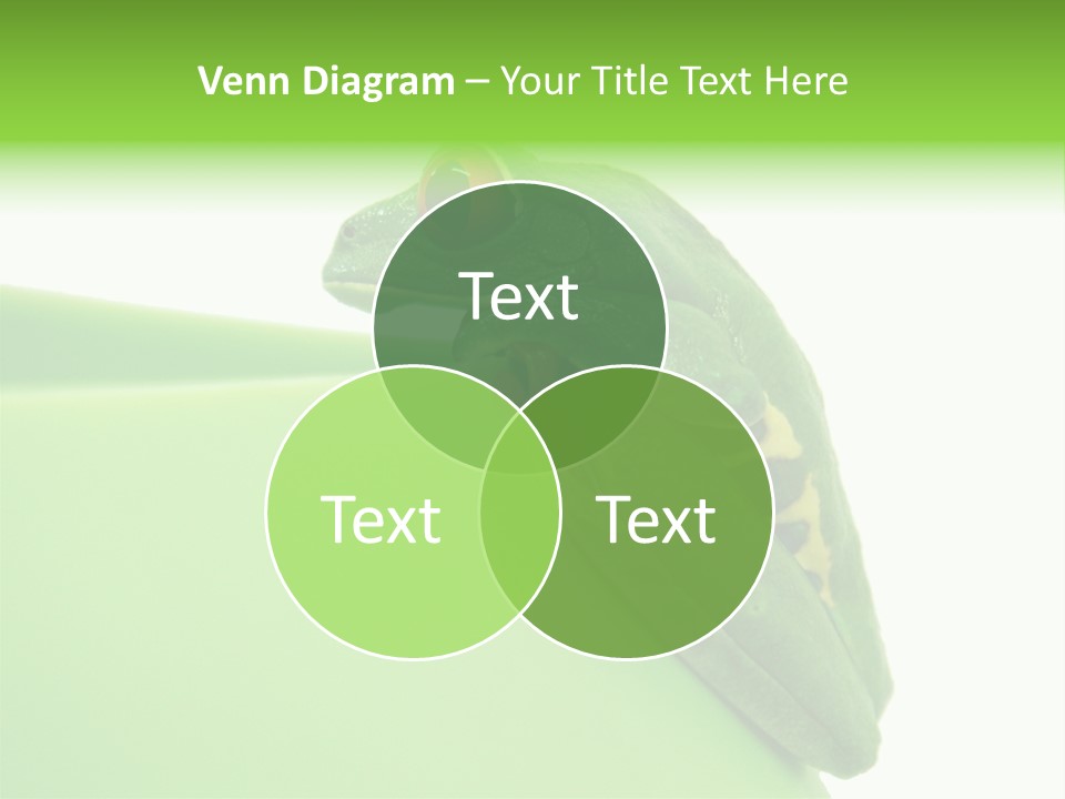 Isolated Animal Green PowerPoint Template