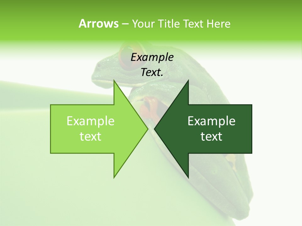 Isolated Animal Green PowerPoint Template