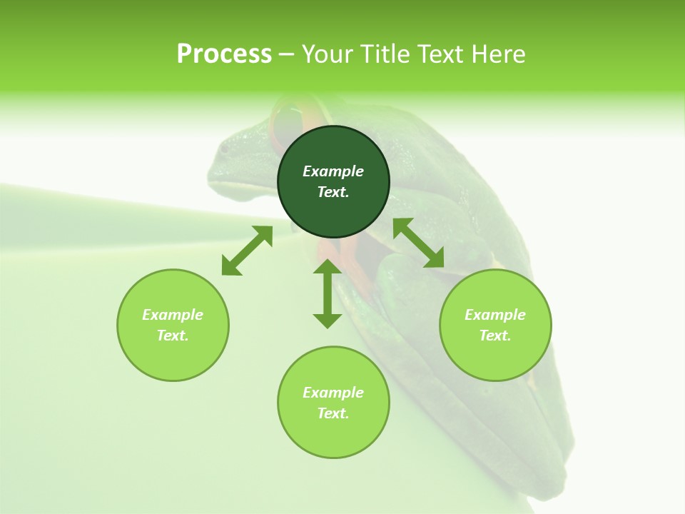 Isolated Animal Green PowerPoint Template